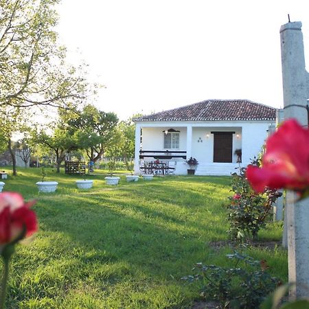 "Per Mik" Cottage In Vineyard Shkodër Eksteriør billede