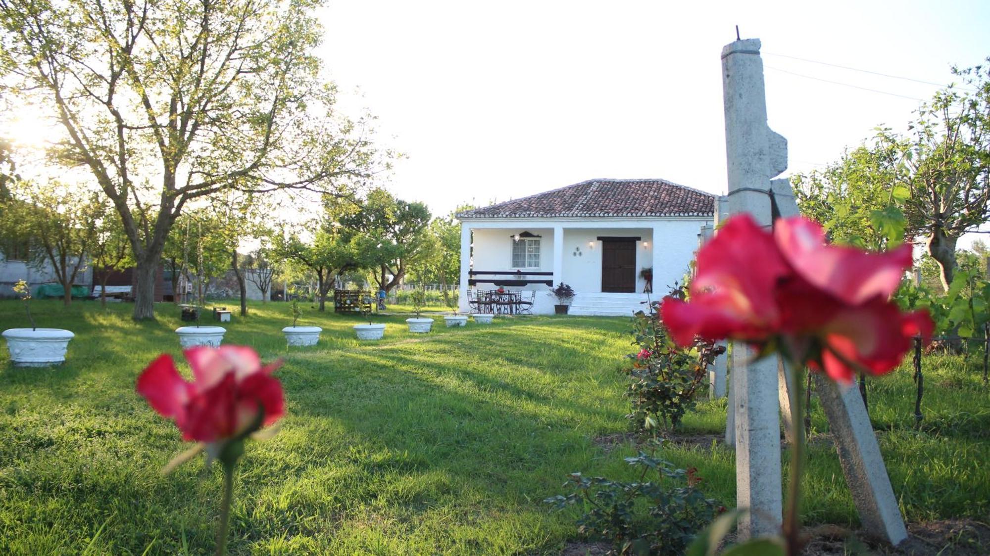 "Per Mik" Cottage In Vineyard Shkodër Eksteriør billede