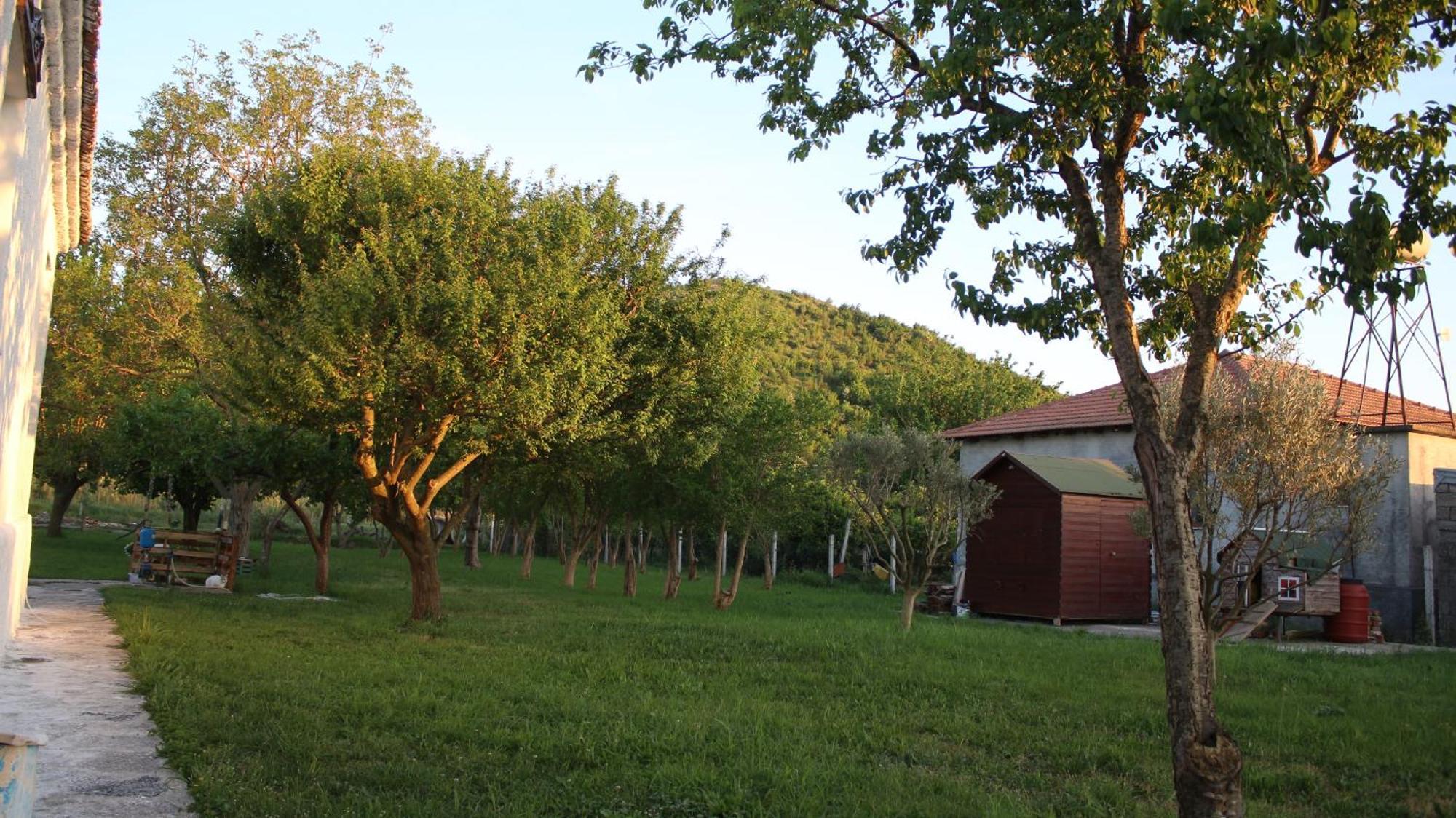 "Per Mik" Cottage In Vineyard Shkodër Eksteriør billede